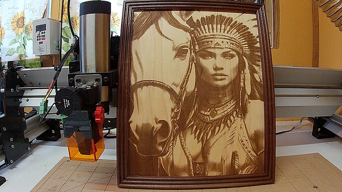 laser of indian girl and horse