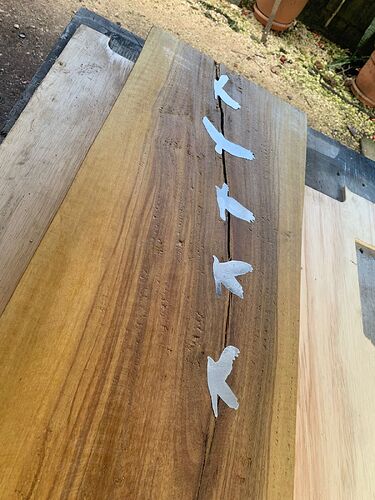 WhatsApp Image 2026-01-04 at 12.52.21 PM